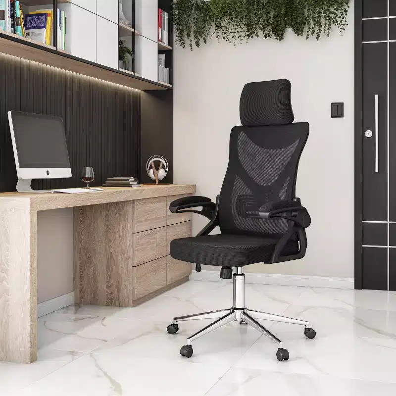Mesh Ergonomic Office Chair with Headrest & Lumbar Support, Criss Cross Design, Chrome Base, Black