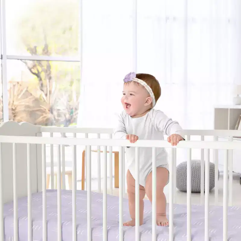 Sweet Jojo Designs Girl Baby Fitted Crib Sheet Boho Hatch Lavender Purple and White