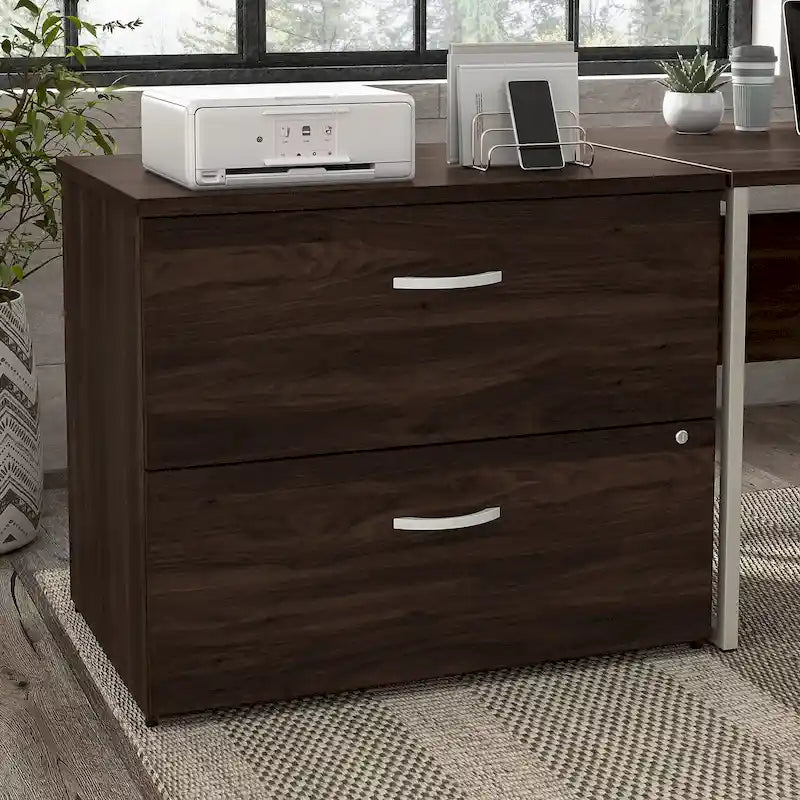 Hybrid 2 Drawer Lateral File Cabinet by