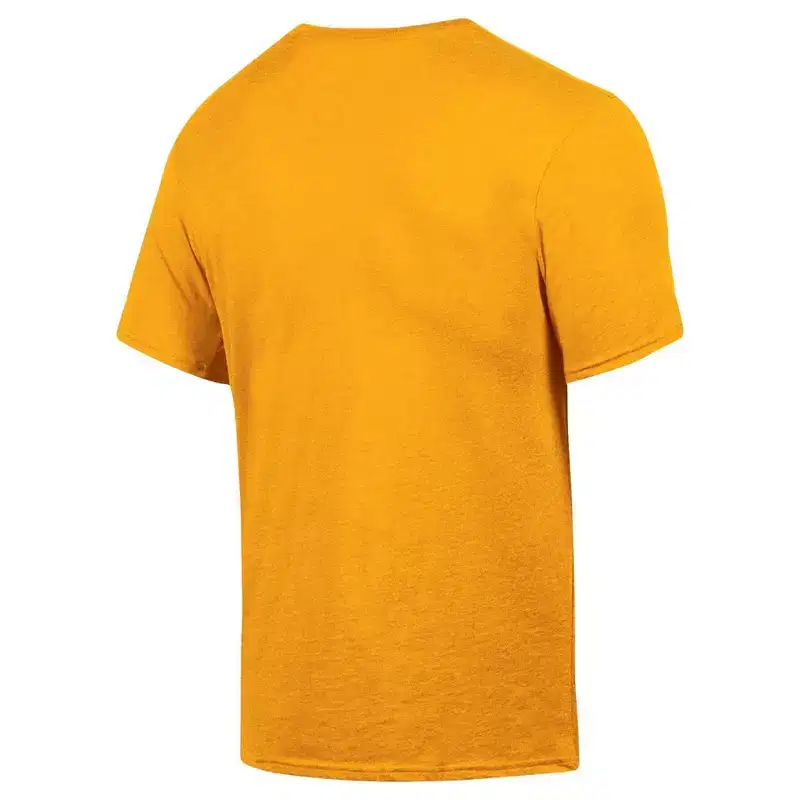 NCAA Iowa Hawkeyes Men's T-Shirt