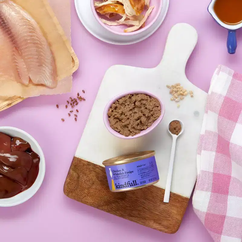 Chicken and White Fish Pate Recipe for Healthy Weight Wet Cat Food - Kindfull™ 3oz