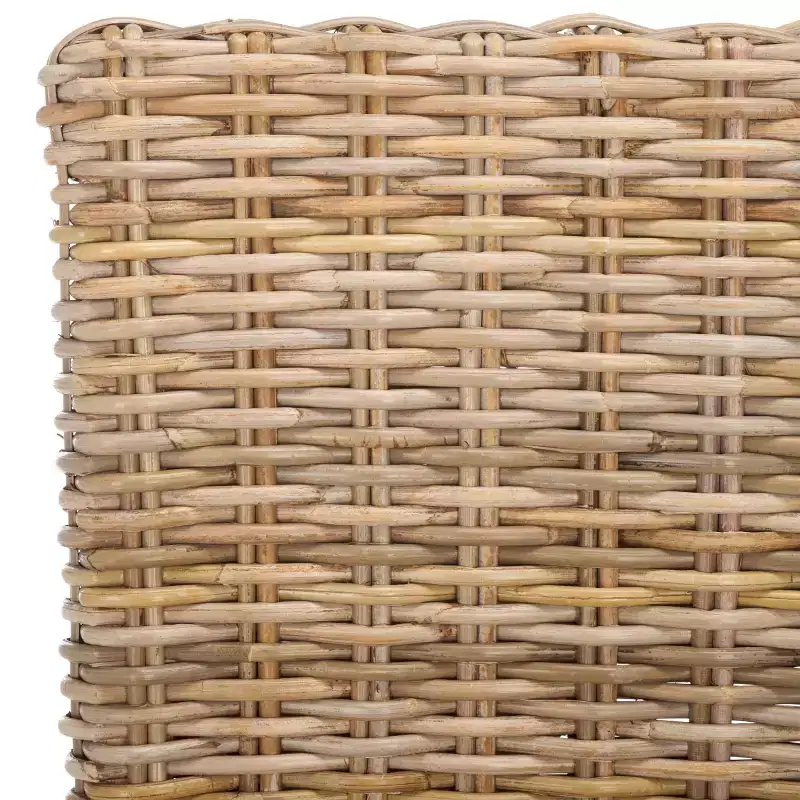Pembrooke 19 H Rattan Side Chair (Set of 2) - FOX6520 - Safavieh Couture
