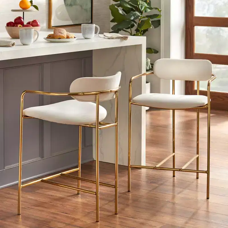 Buylateral Set of 2 Retro Velvet 24 Counter Height Barstools