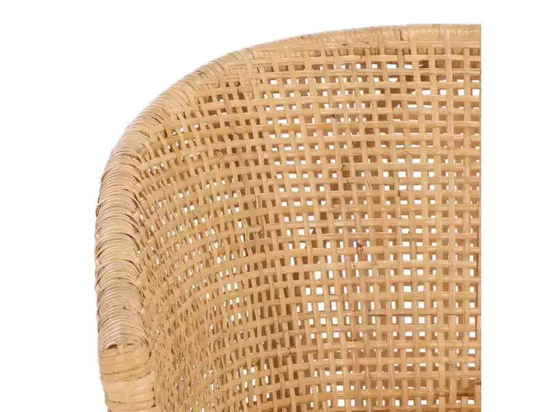 Taina Accent Chair - ACH6534 - Natural/White - Safavieh