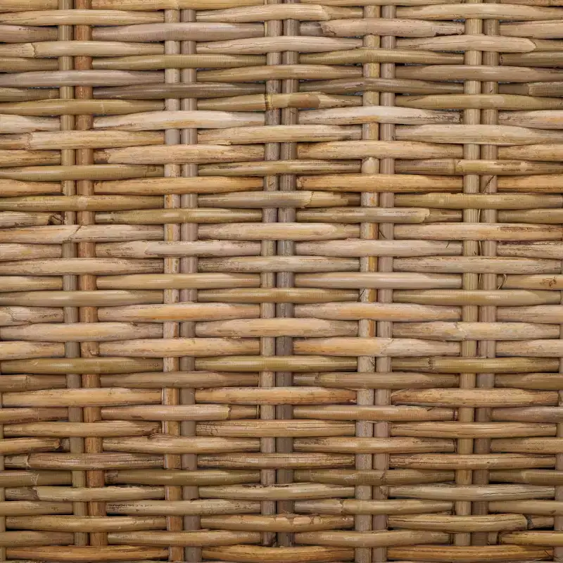 Pembrooke 19 H Rattan Side Chair (Set of 2) - FOX6520 - Safavieh Couture