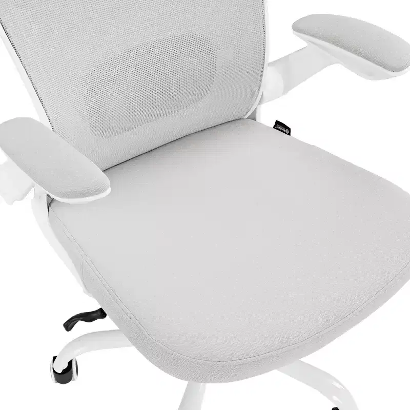 EUREKA ERGONOMIC ONYX Series, Ergonomic Office Chair
