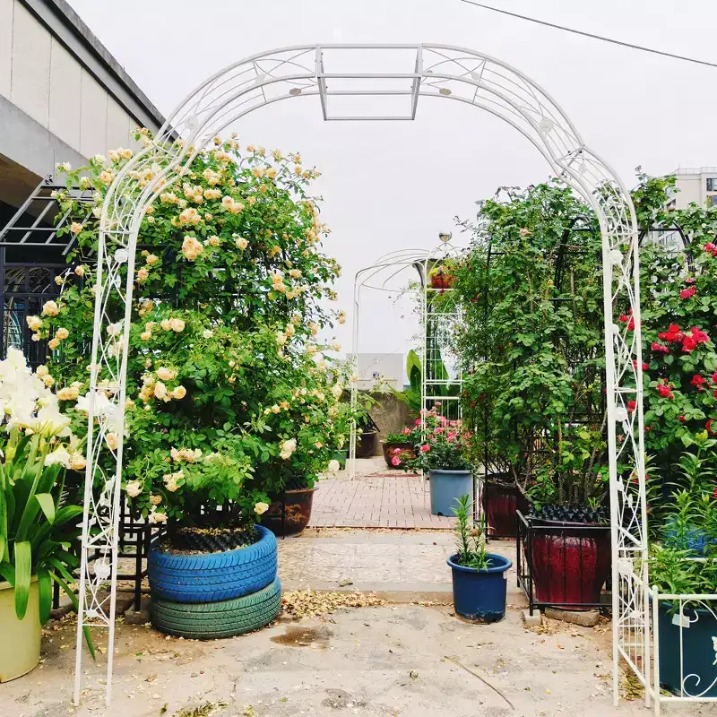 Metal Garden Arch W74.4'' x H98.4'' Garden Arbor Trellis Climbing Plants Support Rose Arch Outdoor Arch Cream White