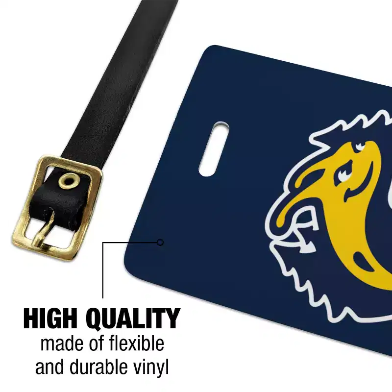 University of CaliforniaSanta Cruz Primary Logo Luggage ID Tags Suitcase CarryOn Cards Set of 2