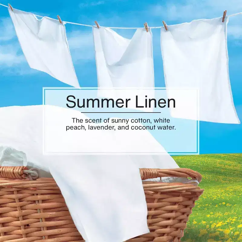 Little Trees Summer Linen Air Freshener 3pk: Car Freshener Tree, Sky Blue, Disposable, Non-Powered, 8 Weeks Duration