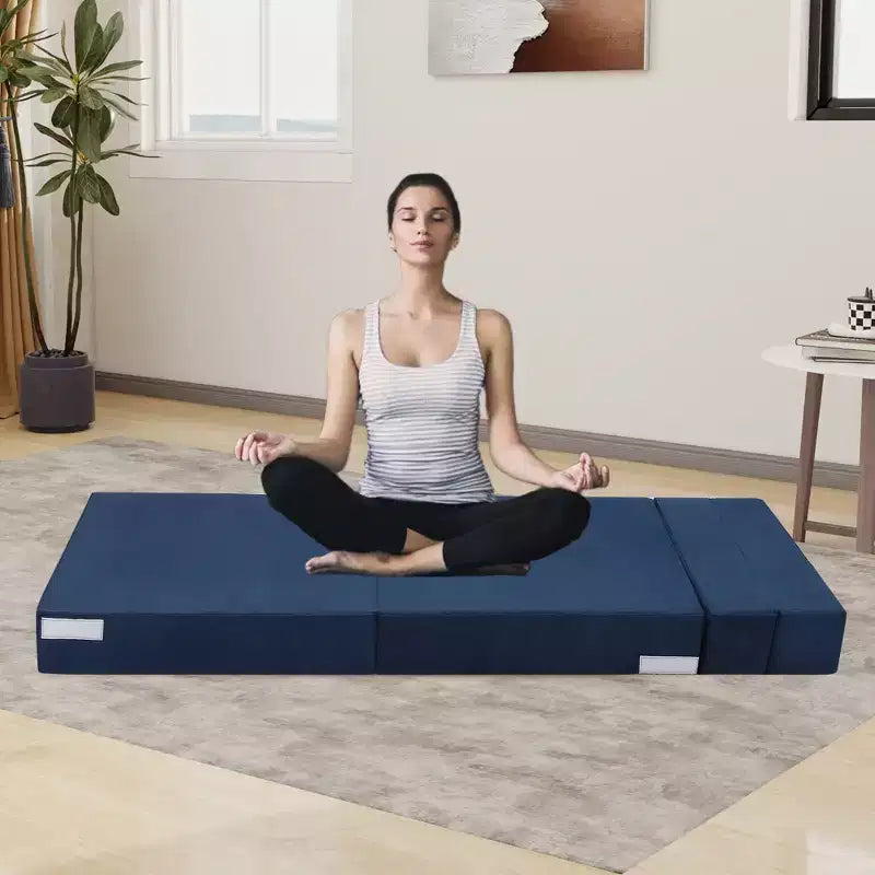 Sofa, Folding Sofa Bed, Foldable Couch Bed with Pillow, Convertible Sleeper Chair Folding Sofa Mattress, Futon Floor Couch for Living Room/Bedroom