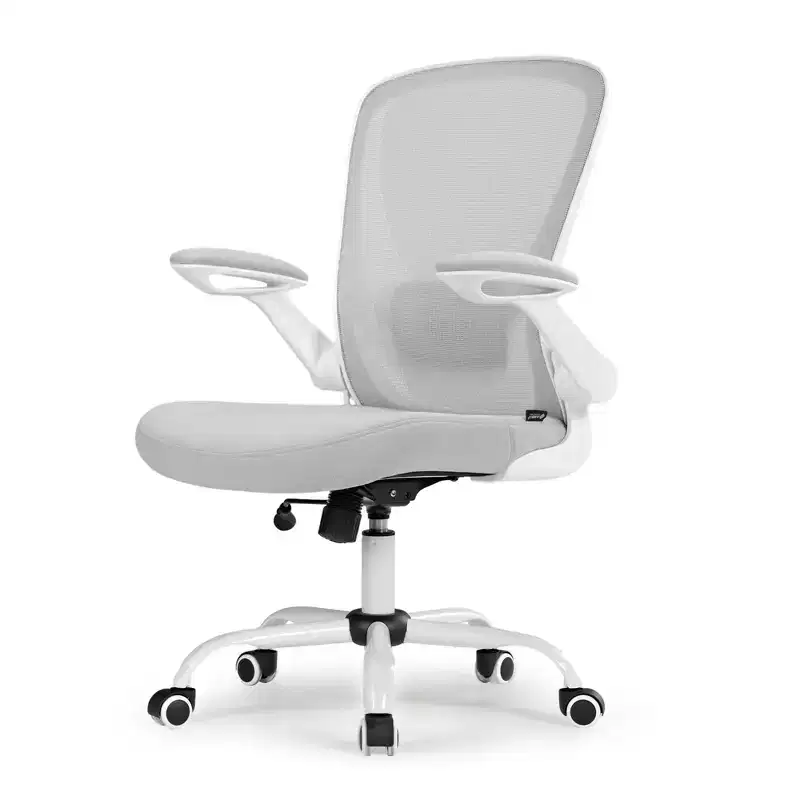 EUREKA ERGONOMIC ONYX Series, Ergonomic Office Chair