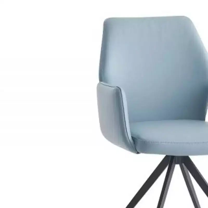 24 Segismunda Accent Chair Light Blue Leather/Black Finish - Acme Furniture