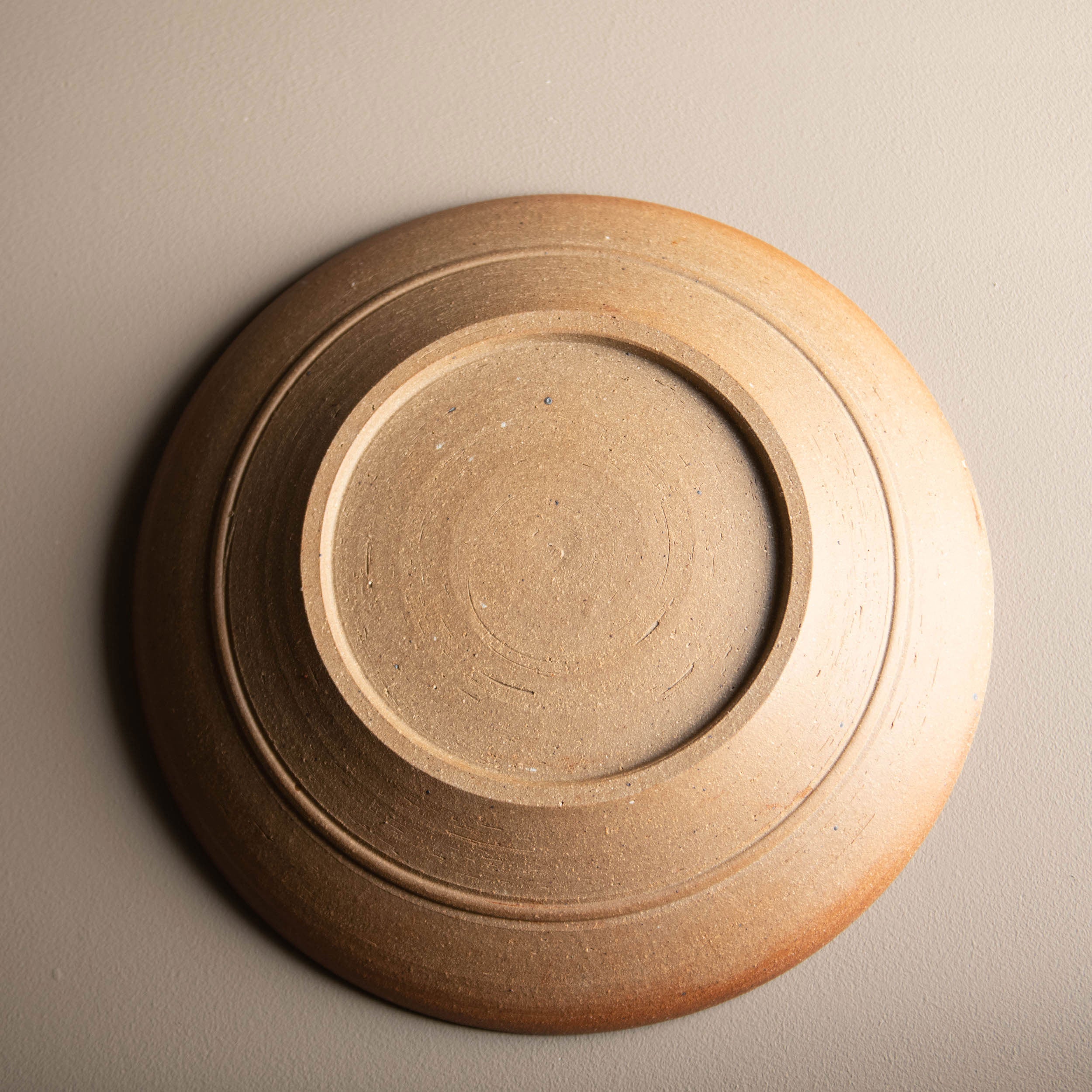 Large Dish