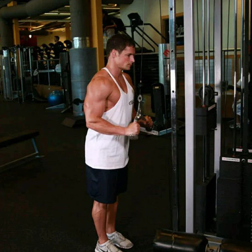 Cable Machine Attachments ¨C Steel & Rubber Coated Handles, Multi Grip Bars & Ankle Straps for Full Body Strength Training ¨C Ideal for Home Gyms