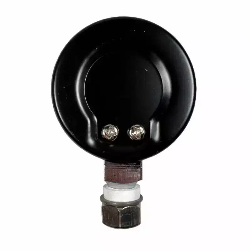 National Presto 85772 Pressure Canner Steam Gauge with Nut and Washers