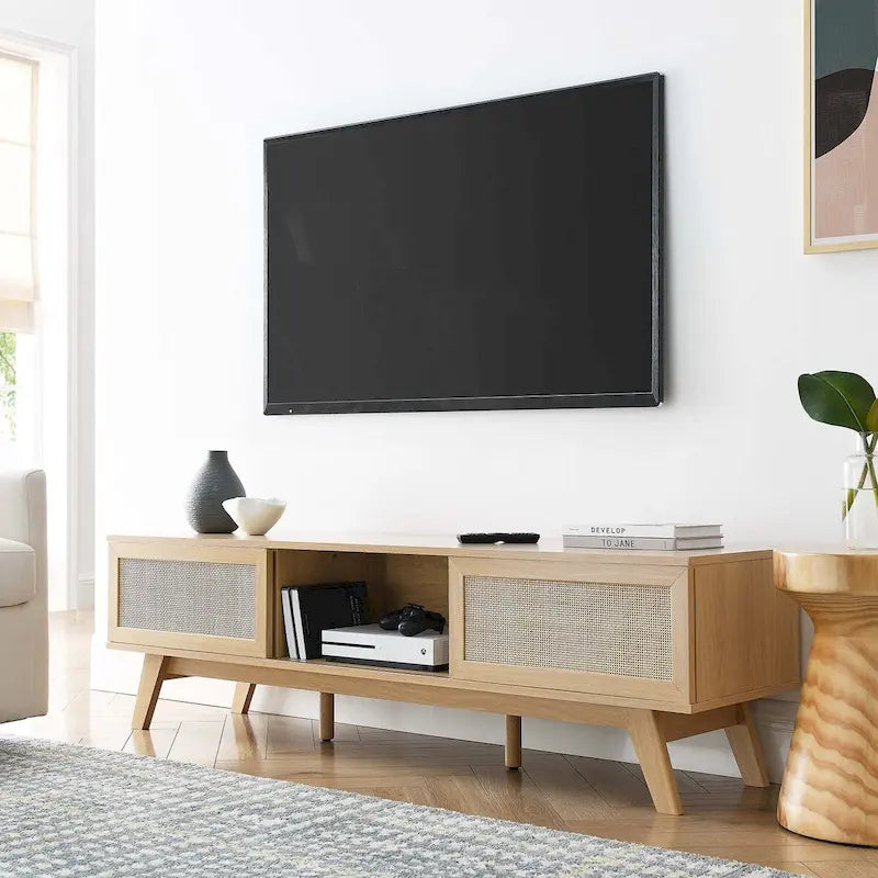 60 Rattan Door TV Stand with Storage